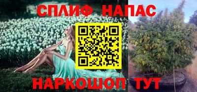 мдпв Конаково