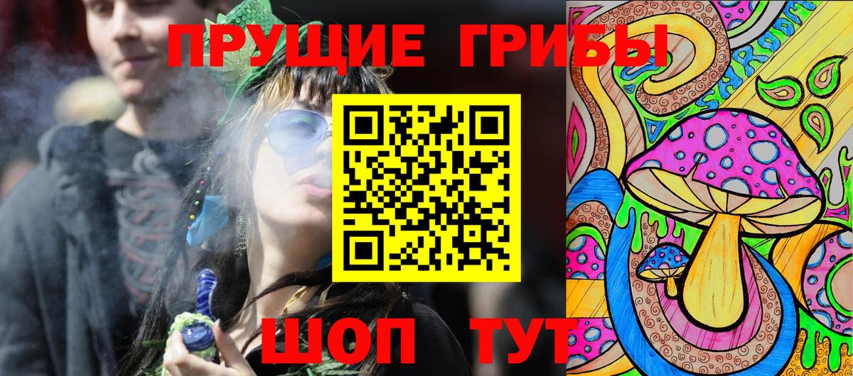Псилоцибиновые грибы Psilocybe  Псилоцибиновые грибы ЛСД  купить  цена  Вход с VPN  Кизилюрт 